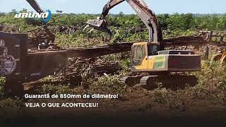 An Encara Qualquer Operação Florestal - Guarantã De 850Mm De Diâmetro