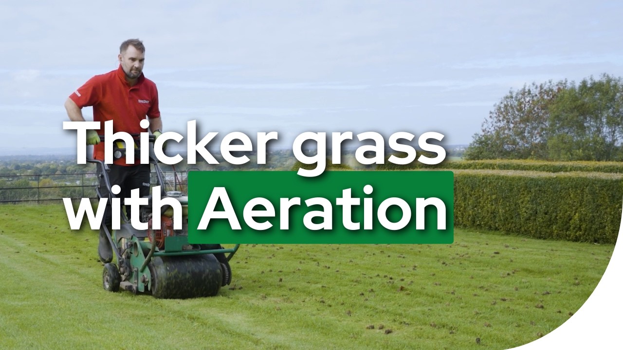 Why Your Lawn Needs Aeration | Thicker, Greener Grass