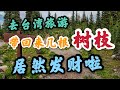 去台湾旅游，带回来4根树枝，没想到发财了