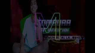 Lagu Viral Jgt Teluk Bana Bungi Remix Muh.Rizal La_Odhe 2k22👍🏻💃🏻💃🏻