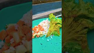 Loly suka salad guys #trendingshorts #funny