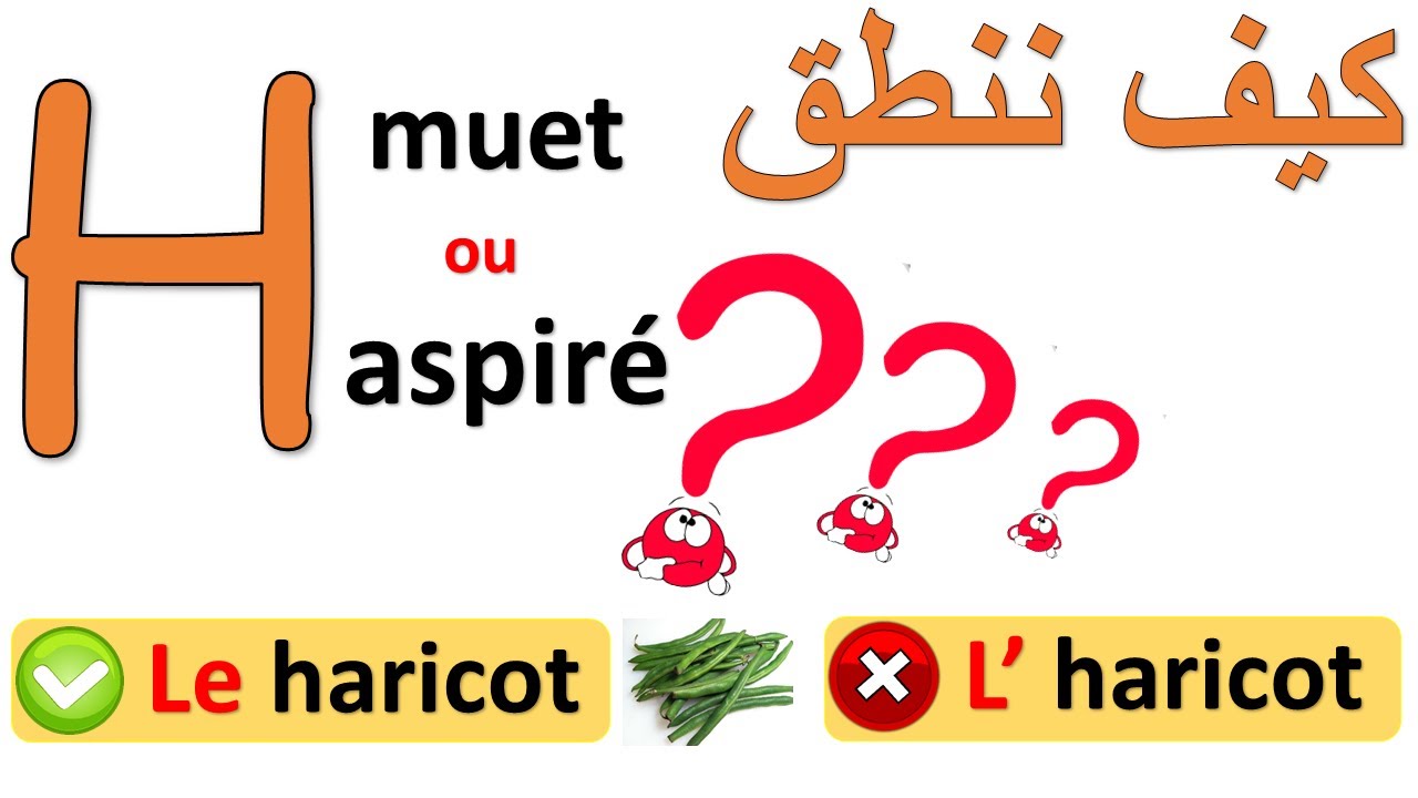 الدرس24: تعلم قواعد اللغة الفرنسية للتحدث بطلاقة H muet