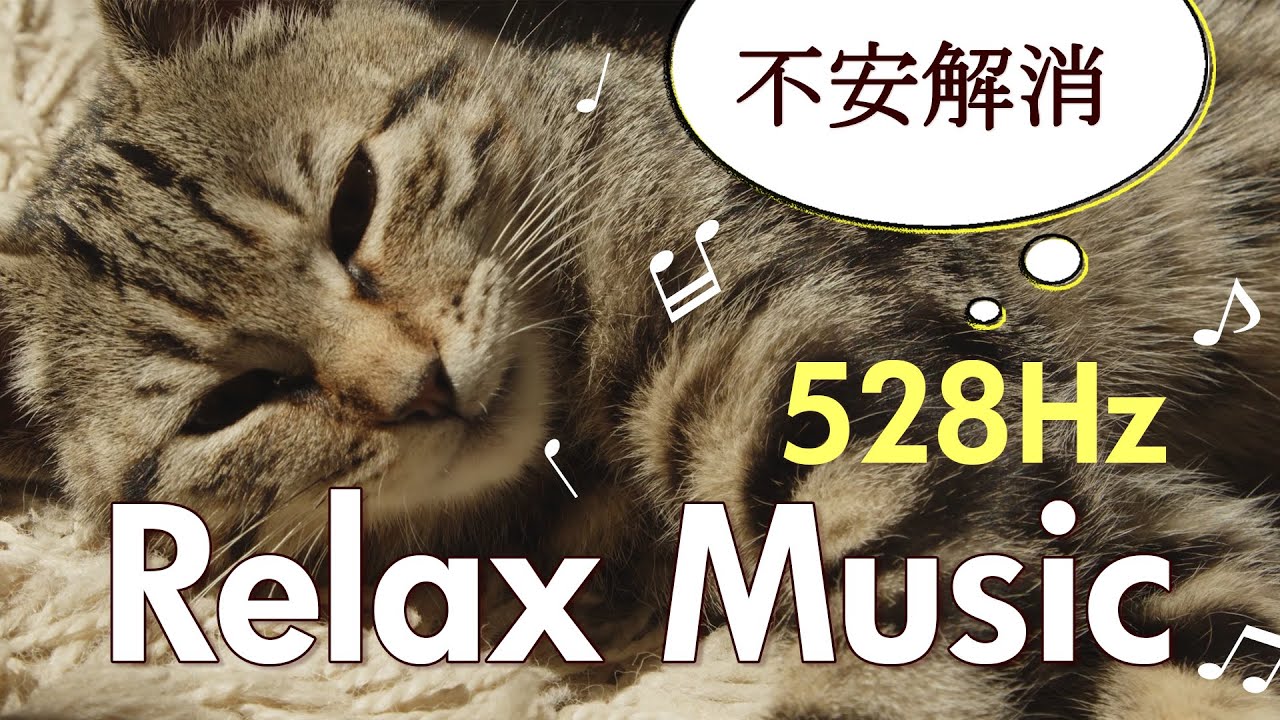 Cat Healing Music] Healing music to calm cats [528Hz]【猫のための
