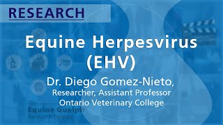 Equine Herpes Virus - Dr. Diego Gomez-Nieto