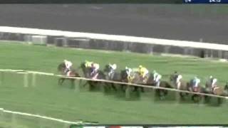 2011 Beverly D. Stakes