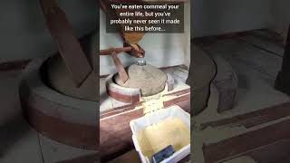 Satisfying or Ancient? 🧐 How Corn is Actually Ground!