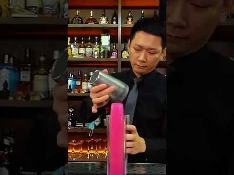 #shorts #cockatiel #cockatoo #cocktail