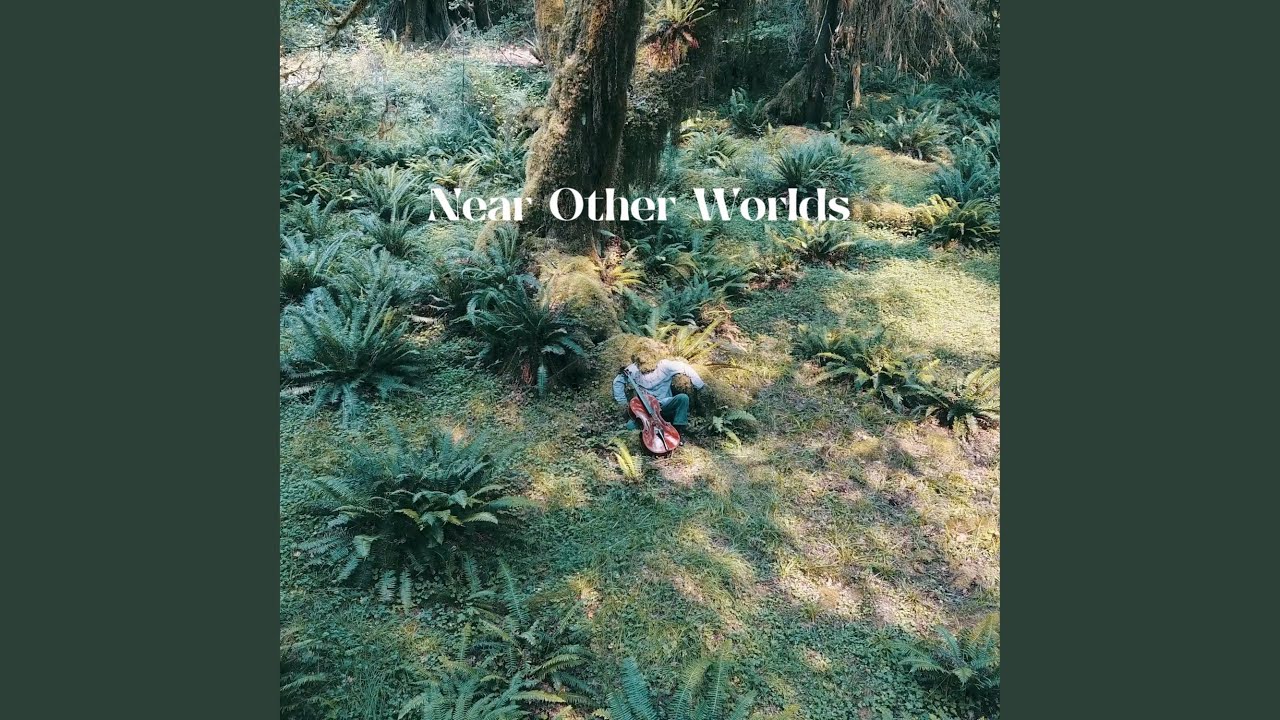 Himalayan Singing Bowls in The Hoh Rainforest pt 2