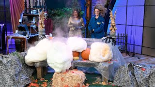 Halloween Science Experiments: Spooky Foaming Pumpkin Patch + More
