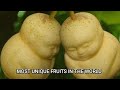 Most Unique Fruits In The World