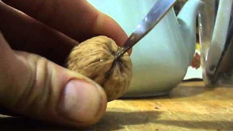 How to crack a walnut perfectly with a knife