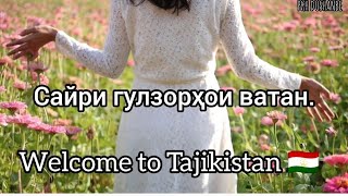 Сайри гулзори Ватан. Welcome to Tajikistan 🇹🇯.