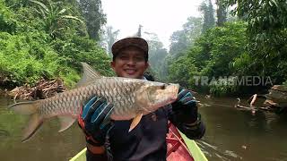 MANCING MANIA | POTENSI HULU BORNEO UTARA (30/11/19) Part 1