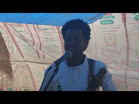 ሃይሉ ወዲ ኹኖም ዝገርም ናይ መርዓ ደርፊ 