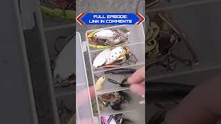 WHAT LURES catch trout – Here’s my GO TO: #troutfishing  #trout  #pennsylvania  #uglystik