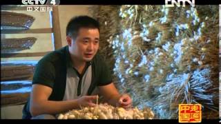 走遍中国 《走遍中国》 20120820 中国古镇（1）南浔-中西合璧