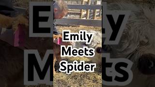 Emily Found Her People!