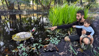 Rescuing BABY TURTLES From BLACK TAR Water!