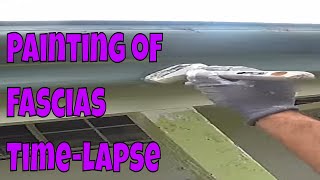Painting of Fascias Time-lapse #shorts 👍& 🔔