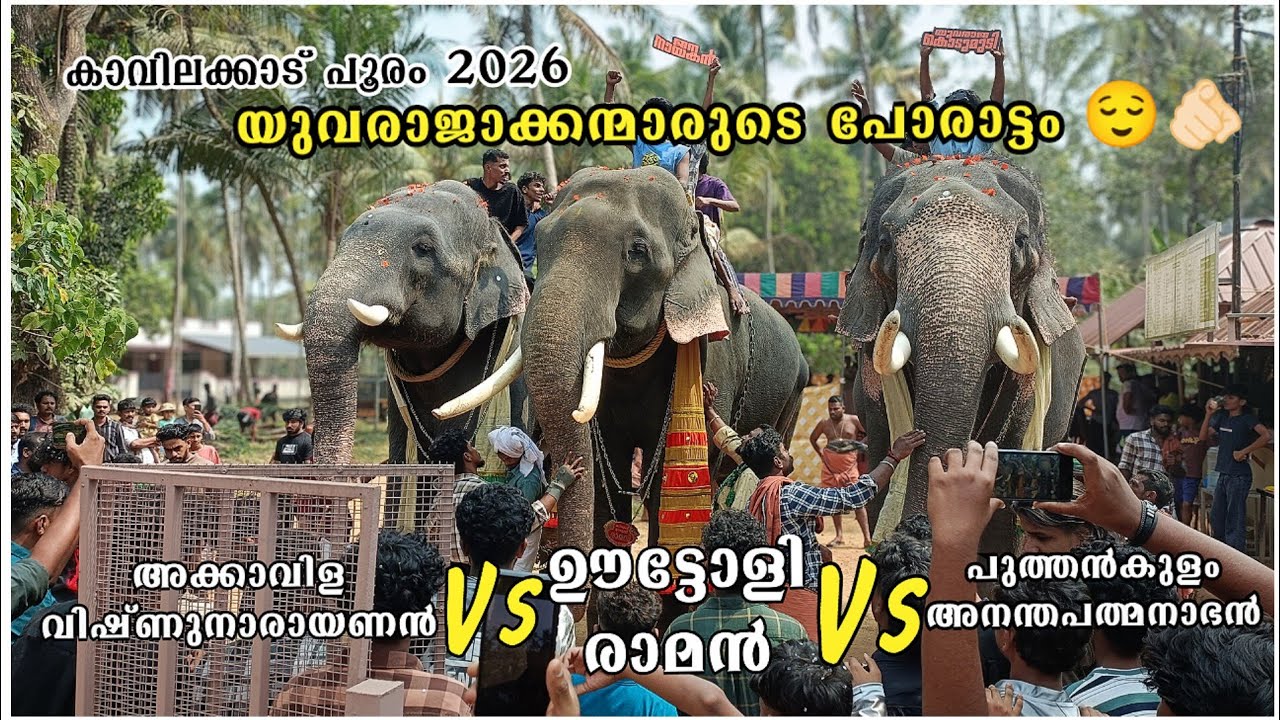 യുവരാജാക്കന്മാരുടെ പോരാട്ടം 😌🫵🏻രാമൻ Vs അക്കാവിള Vs കൊടുമുടി 💥Uttoly Raman akkavila vishnunarayanan 