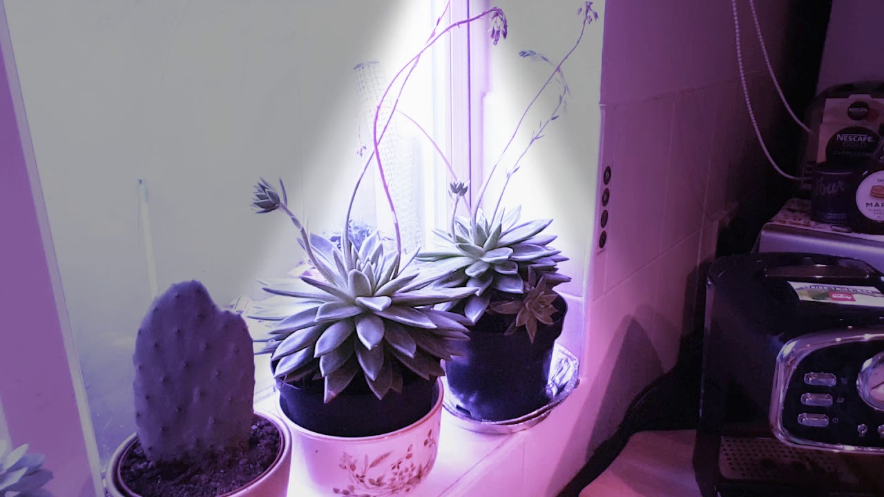 Cookworks espresso machine with frother YouTube