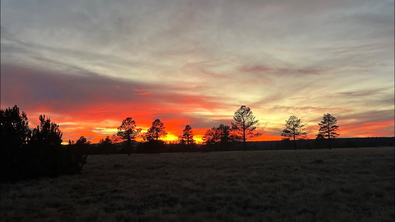 Early Morning - Gunna Type Beat 