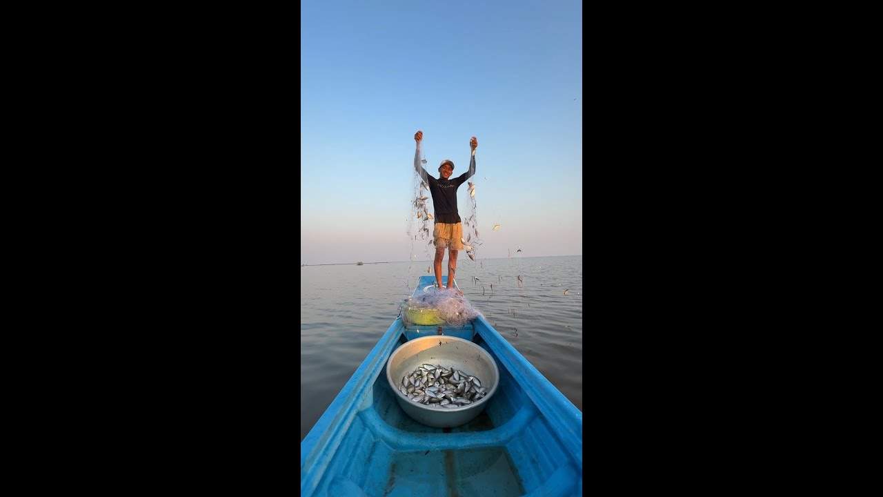 ដាក់មងតែមួយហ៊ុមបានត្រីកំភ្លាញភ្លុកឡើង៨គីឡូ