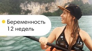 Беременность и путешествие в тайланд туроператоры по тайланду сергиев посад