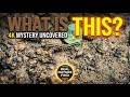 The Secret World of Insects | Caterpillars Up Close in 4K