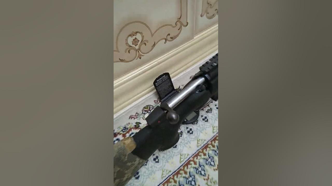 cz5569