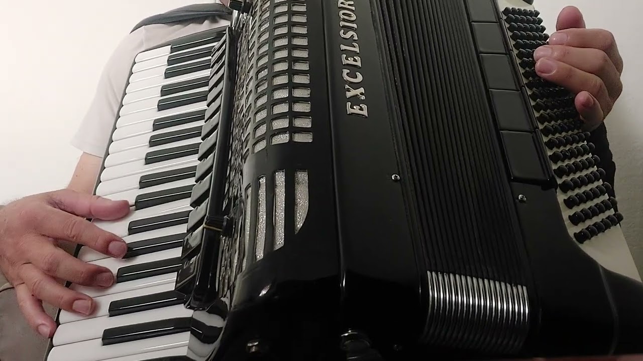 aula. pato rouco voninho.