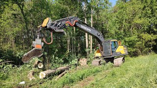 Time To Start Logging The Pond Site