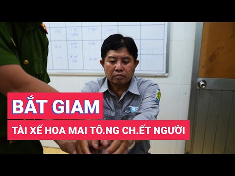 Video Bắt giam tài xế Hoa Mai phóng nhanh, vượt ẩu gây tai... - youtube