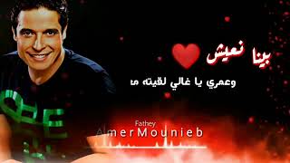 بينا نعيش عامر منيب