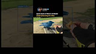 This is a quick demo of Meta's AI model (SAM 3) running on a Mac.