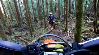 Tight Woods Riding Basics