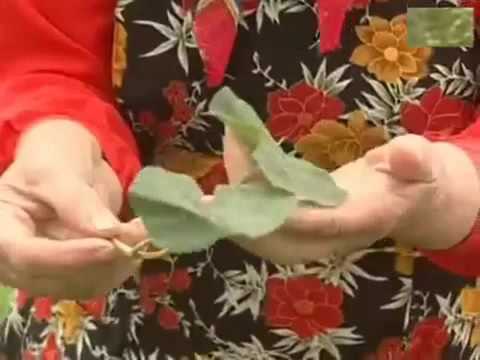 Е Ф Зайцева Книги Купить