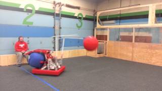 2014 Good Two Ball Auto