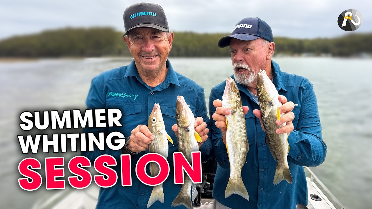 Fishing the FLUSH! Epic Whiting Episode with Starlo 👈🏼🐟🐟🐟✅