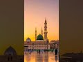 islamic video#shortvideo#love#bes#duet#video#nature#quotes#1million#goldenwords#duet#