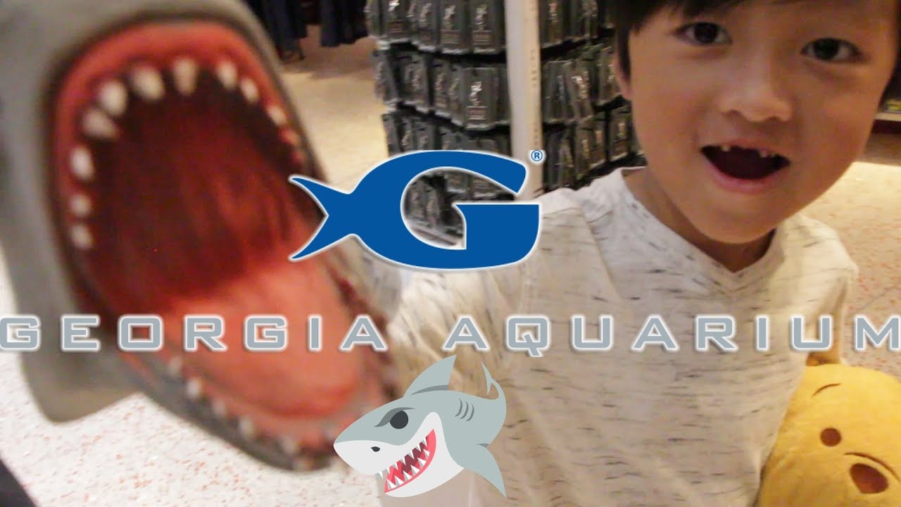 Georgia Aquarium Tour with NtenseKid Ryder PART ONE