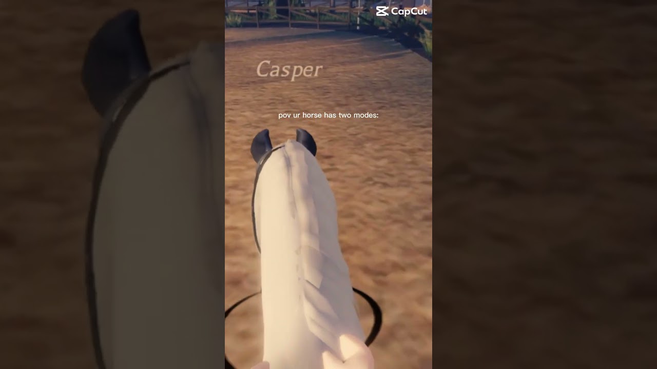 He has a speedy trot what can I say 🤷‍♀️🤷‍♀️