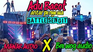 Battle Sengitbrewog Vs Mawar  Di Pundenrejo Tayu Pati