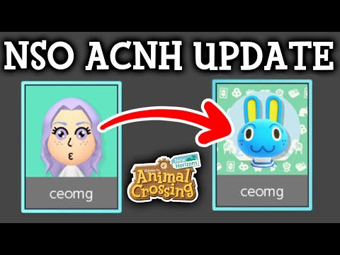 NEW Animal Crossing New Horizons Feature
