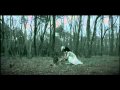 the gazette - taion pv.avi