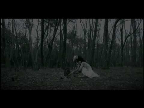 the gazette - taion pv.avi