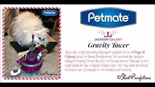 jackson galaxy gravity tower