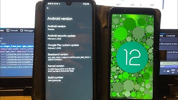 ❤️ Valentines🌹Install Android 13 & Android 12 for Xiaomi Redmi 7A & Redmi Note 7