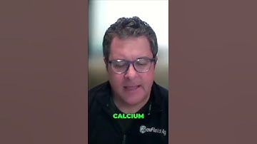 Effective Team Insights: Simple Reporting for Customer Success