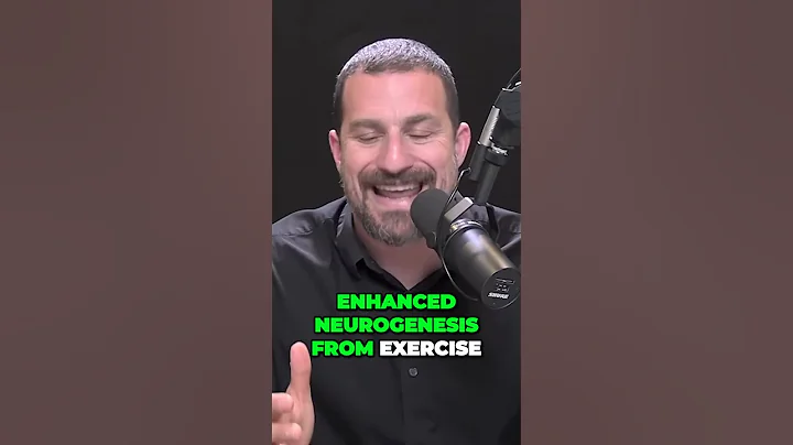 The Surprising Truth About Exercise and Brain Health Andrew Huberman #hubermanlab #neuroscience
